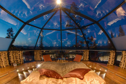 creativehouses:Romantic view of the stars