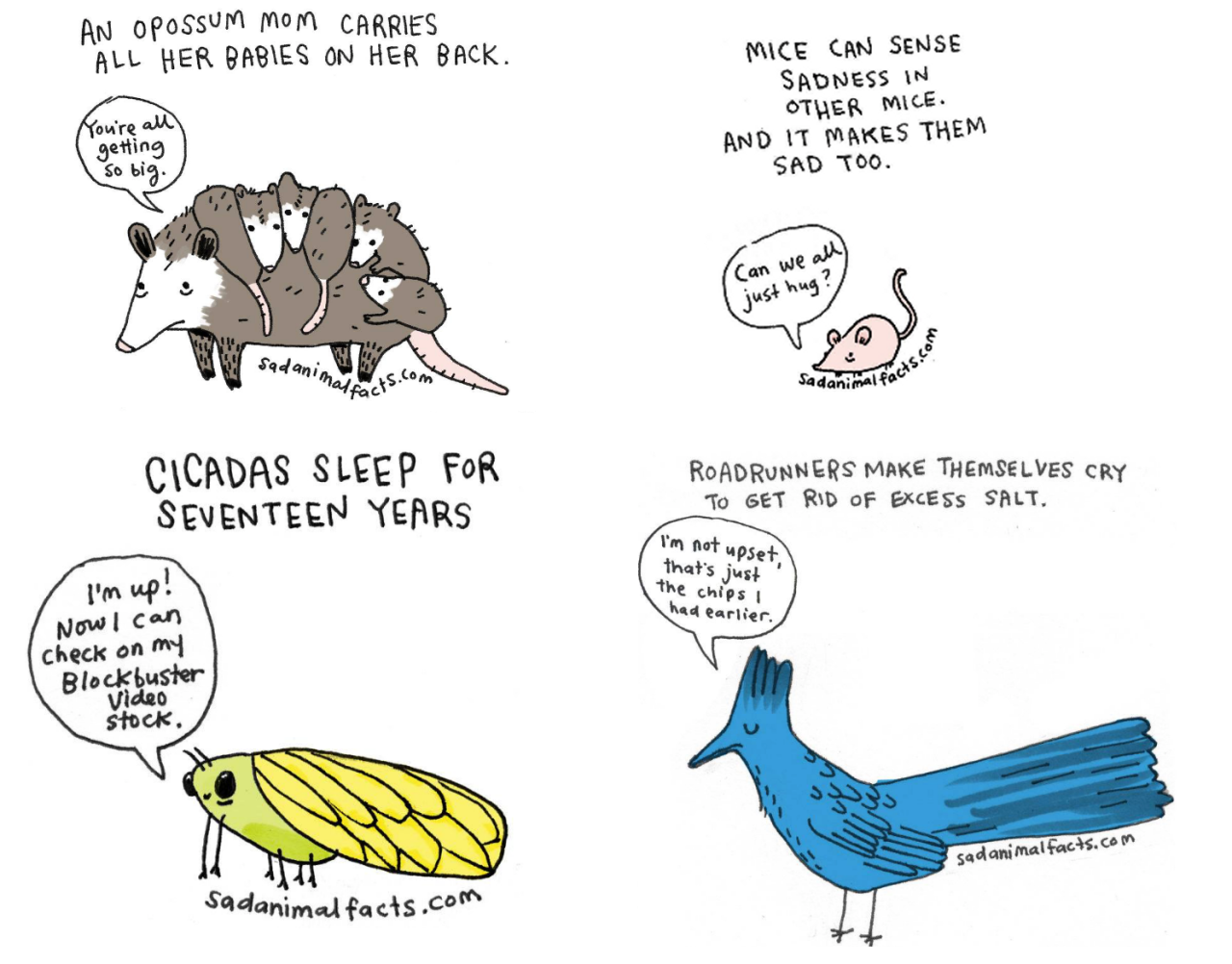 Sad Animal Facts Tumblr Gallery