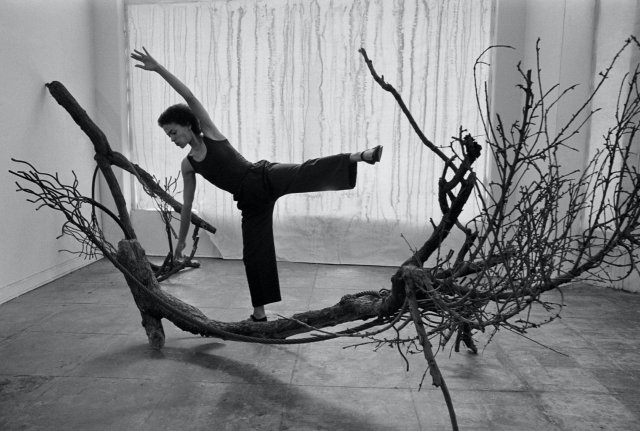 neshamama:maren hassinger, “tree duet i, 5617 san vicente blvd, los angeles”