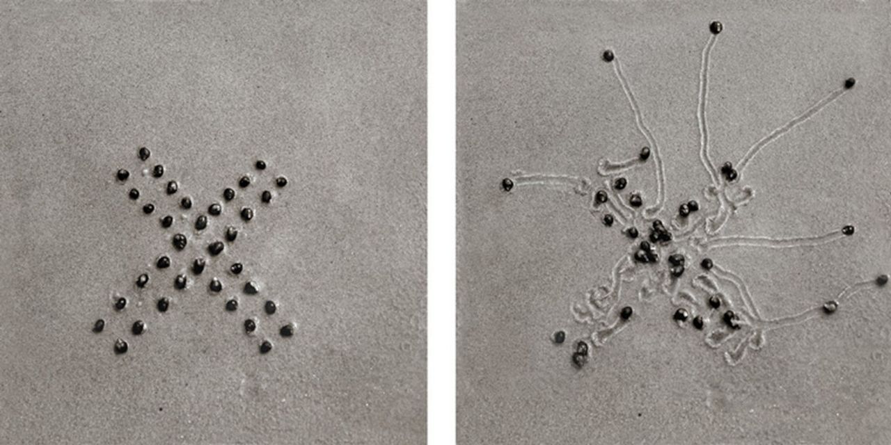 photojojo:  It’s hard to imagine a riveting photo series where snails are the main