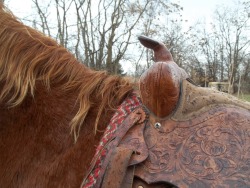 That saddle is really simple and pretty