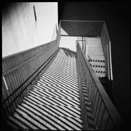 Clark Art Institute. Williamstown, MA. On my Holga…love that camera!