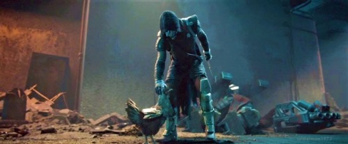 soldiermom1973:  Who needs the light when you’ve got a fine, feathered friend by your side?