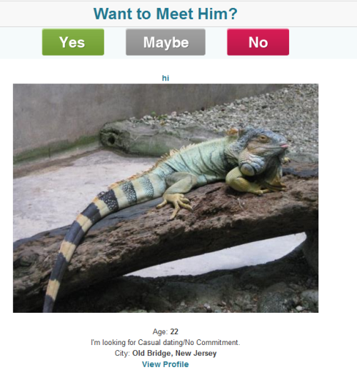 speedlimit15:frumpasaurousrex:looks promisingI want to meet him