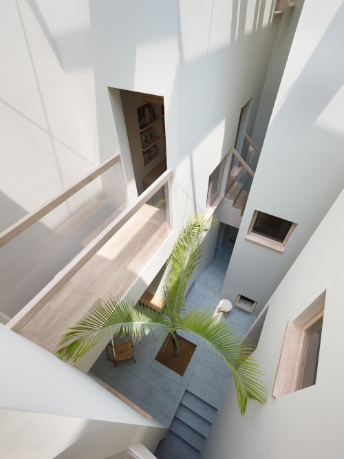 morestudio:  House in Goido / Fujiwarramuro Architects 