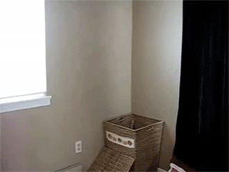 sizvideos:  Cat Helps with the Laundry - Video 