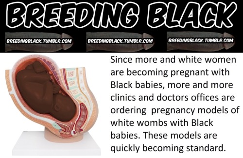 blackbabybump: breedingblack: Nice! We can make this happen!