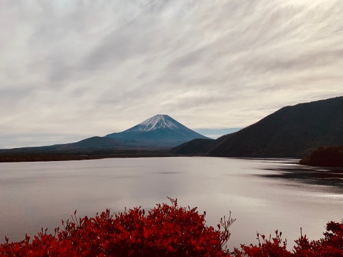 ガスってるとは霧 きり におおわれてぼやけてしまう現象 Explore Tumblr Posts And Blogs Tumgir ガスってるとは霧 きり におおわれてぼやけてしまう現象 Explore Tumblr Posts And Blogs Tumgir