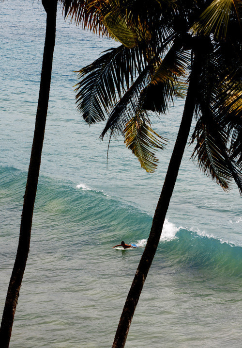 oceane-water:  need more ocean blogs to follow! xox 🌴✌🏊 