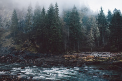 destrua:  acureforreality-:  Snoqualmie River