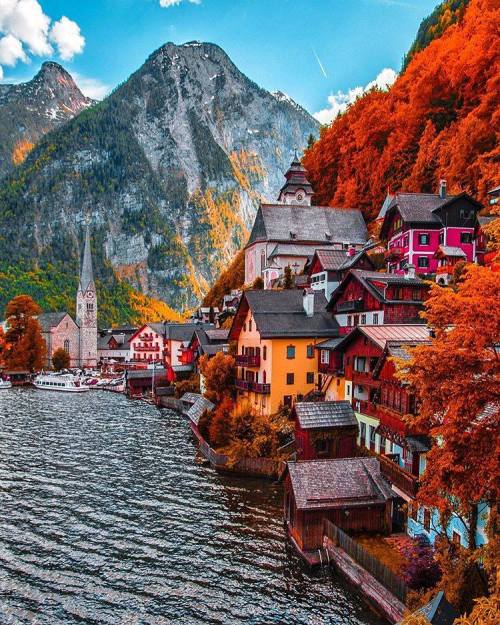 Austria -Kardinalmelon