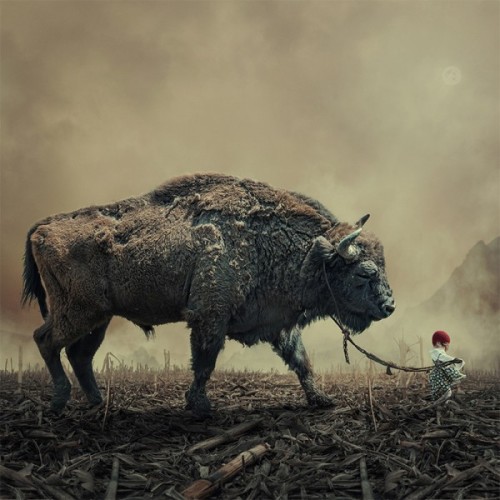 fer1972:  Photomanipulations by Caras Ionut 