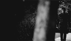 stydiar-deactivated20160406:   you still got me 