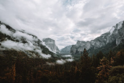 jasonincalifornia:That Yosemite Valley mist