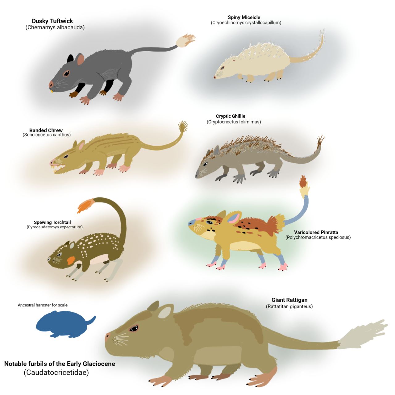 ceo of hamster evolution — The Early Rodentocene: 1-5 million years