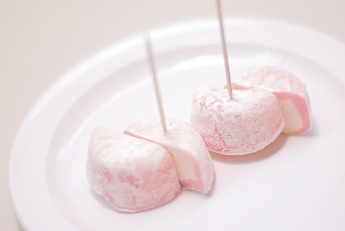 t-okimeki:Sakura Mochi Ice Cream by (Michael Fletcher)