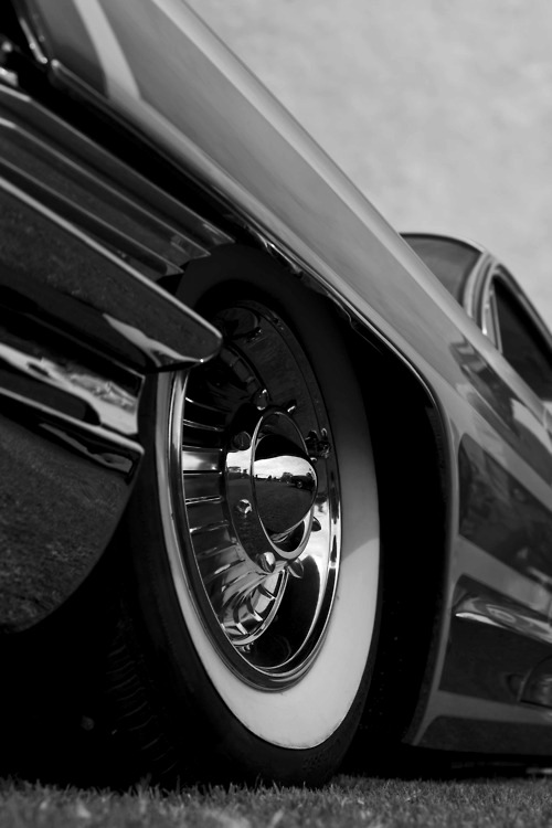 girls-n-cars:   > > girls-n-cars < <  