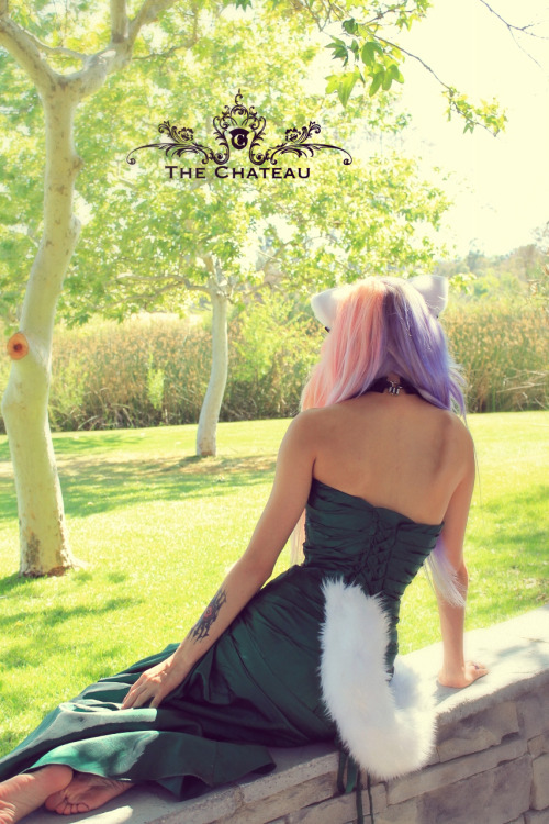 thelittleskylark:  catgirlmanor:  Spring has arrived at The Chateau! Scream Kiwi’s gorgeous spring shoot.  love this!