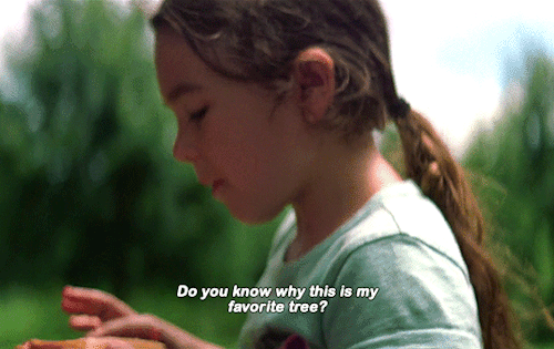 movie-gifs:THE FLORIDA PROJECT (2017) dir.