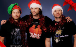 suckmywinchester:  J2M posing for Creationstands.com