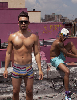 briannieh:  We be kickin it on the roofs