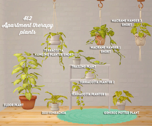 linacheries:[ts2] 4t2 awingedllama apartment therapy plants - conversions  …because I&rs