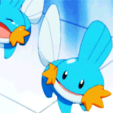 ap-pokemon:#258 Mudkip - The fin on Mudkip’s head acts as highly sensitive radar. Using this fin to 