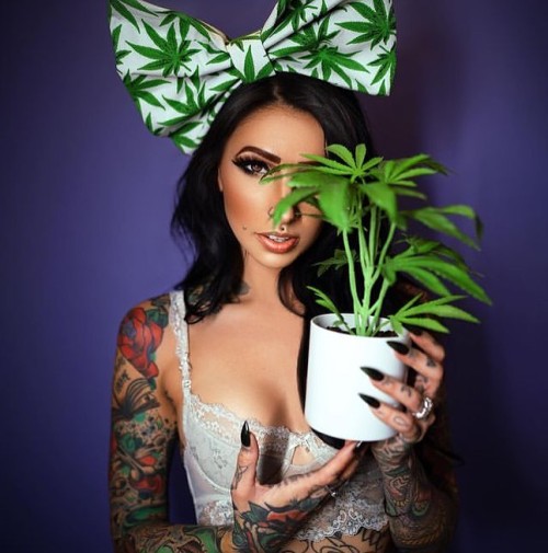 HIGH CHICKS @Angrela_mazzanti @Angela_Mazzanti @ThcInked WANT A FEATURE? DM for s4s #HighChicks  #Th