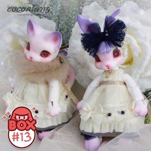 dollnorth: BOX 13 A winter limited Peppi by CocoRiang Please join us in thanking Coco Riang by follo