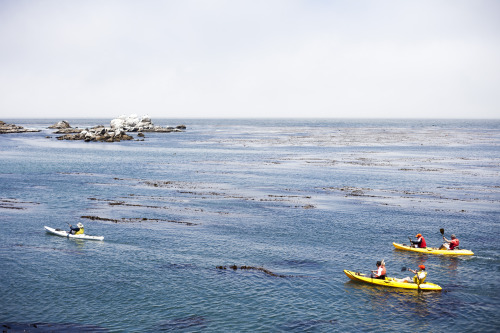 Monterey Bay