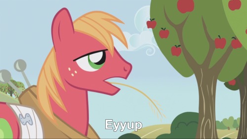 From &ldquo;Applebuck Season&rdquo;