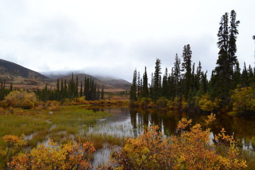 Dempster Highway