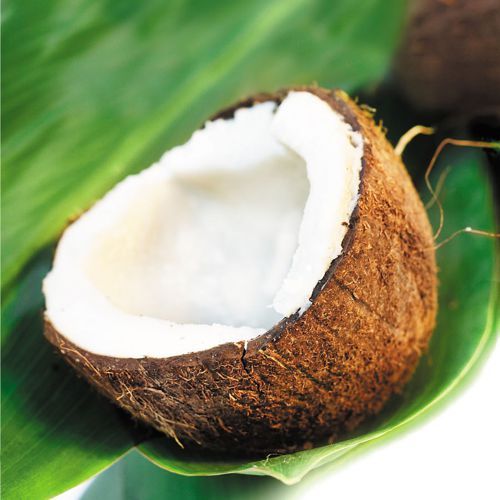 Tropical Blog