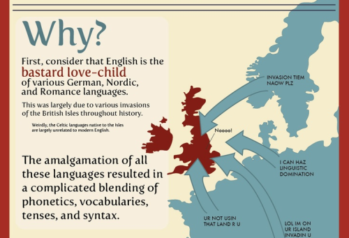 Porn languageek:  The English Language Infographic photos