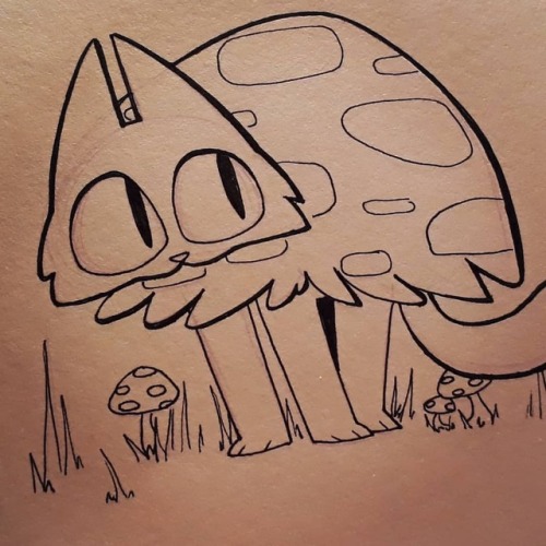 bumblebeerosey: It’s a mushroom cat! Day 1 #inktober #inktober2018 #poisonous #cathttps://www.instag