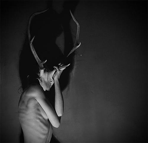 brovinsky:  Deer | February, 2012