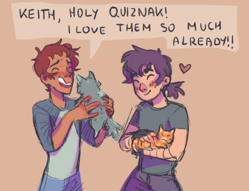 lavenderdreamer13: let them adopt some cats 