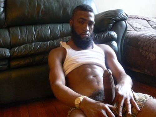 savvyifyanasty:  hesodamnfreaky88:  if i ride it im pulling on yo beard bro   &gt;