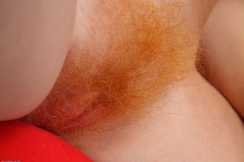 Sex dusty108w:  red-bush: gs500f: I love redheads pictures