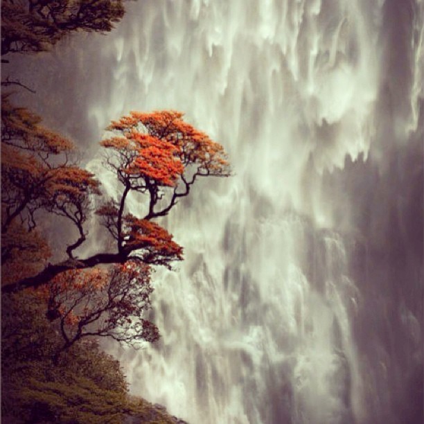 Pretty! #waterfall #tree #nature #instaphoto