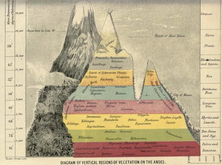 nemfrog:
“Zones of vegetation in the Andes. Popular geography of plants; or, A botanical excursion round the world. 1855.
”