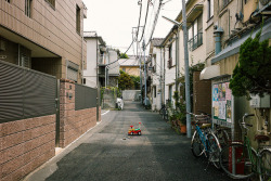 novemberschopin:  Yanaka, Tokyo, 2014 by Shin Noguchi on Flickr. 