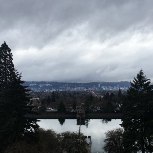 Portland, you look so purty in da rain ❤️---#pdxsnaps #portland #scenic #mttabor #rainydays (at Mou