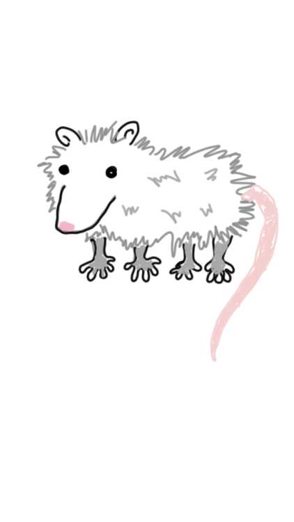 opossummypossum: Submitted: Made this as a response for an Opossum group I’m part of on Facebo