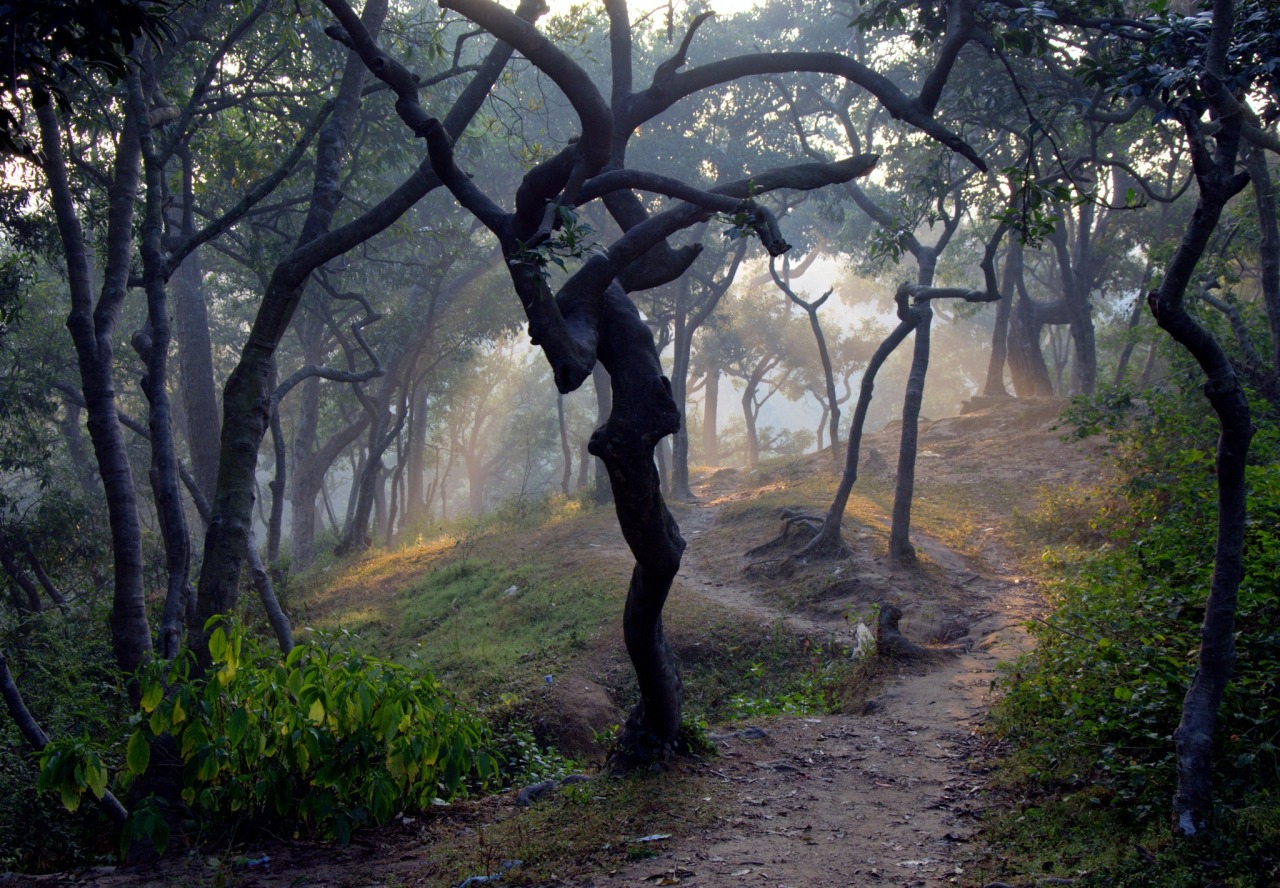 sapphire1707:  Fear of Dark | by pritush | http://ift.tt/1x728rb