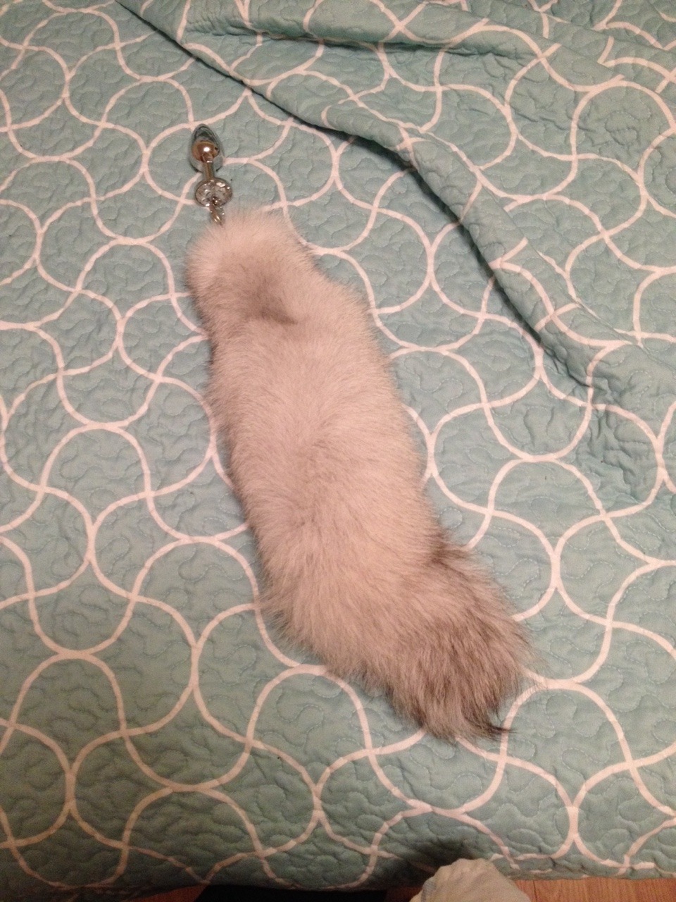 thespankacademy:  xthescenekatx:  My tail!!  I’m so in love with it xx got it from