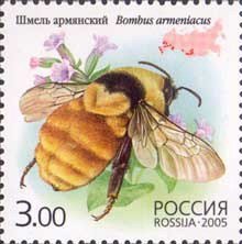 stamp-it-to-me:three 2005 Russian stamps depicting different species of bumblebees