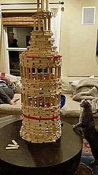 thenatsdorf:  Cat takes block tower down. [video] 