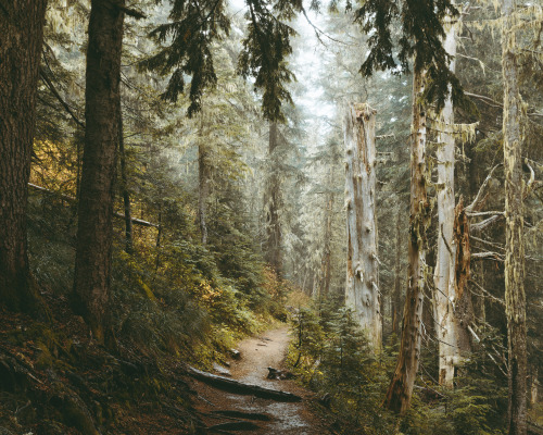 Hiking around Mount Rainier NP, Washington || IG: BToneVibes