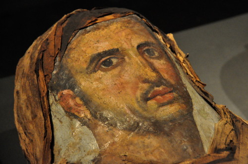 Ancient faces.painted mummy portraits from roman Egypt.